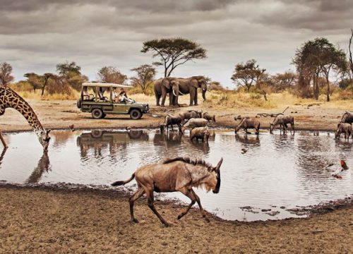 4 Days 3 Nights Tanzania